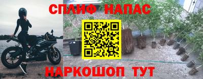 гидропоника Кунгур