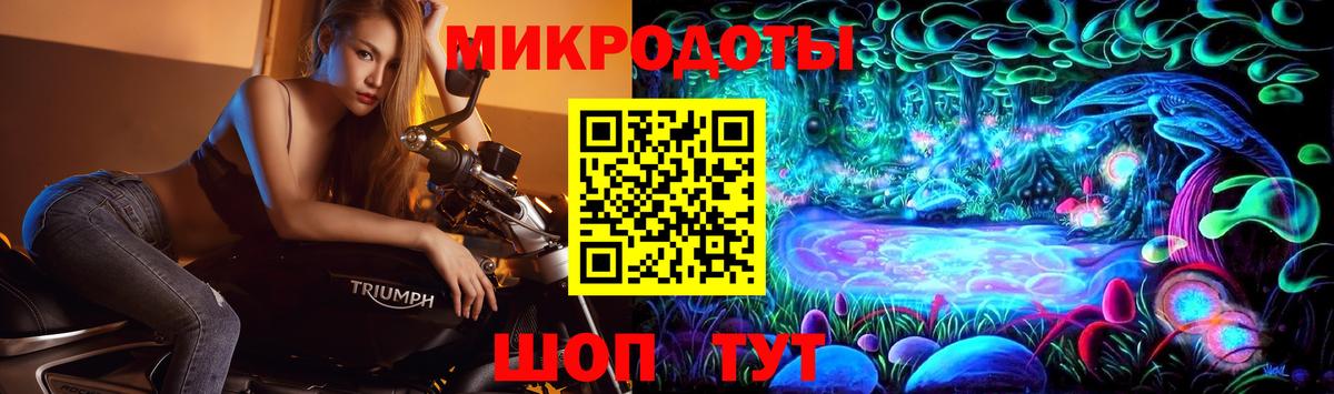 Галлюциногенные грибы мицелий Вышний Волочёк