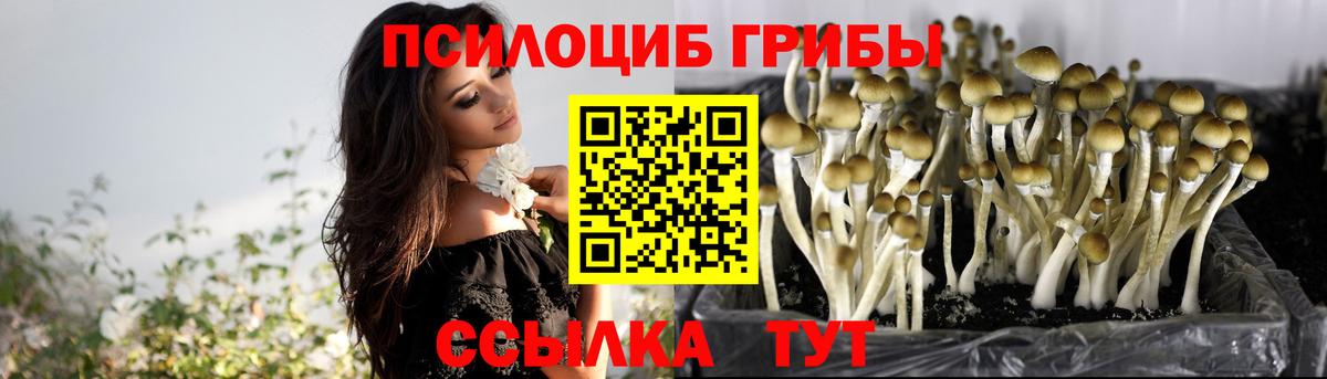 Вышний Волочёк  Галлюциногенные грибы мухоморы  Вход с VPN 